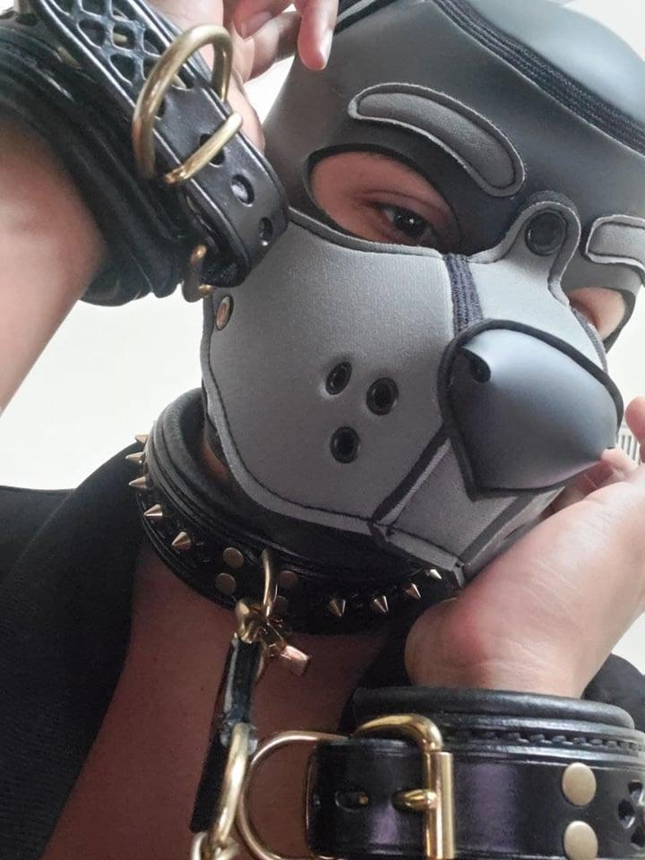 Yeen Pup Bean profile picture