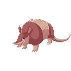 Armadillooutpost profile picture