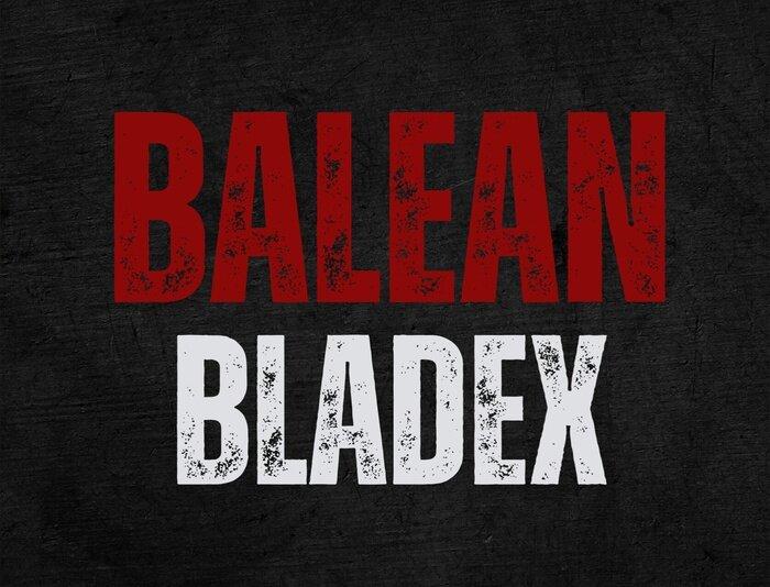 Baleanblade profile picture