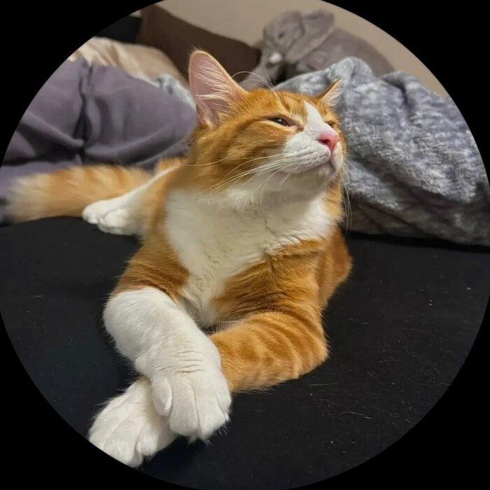 Berislimee profile picture