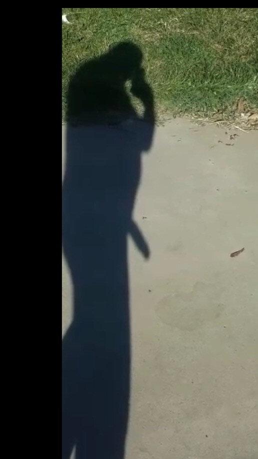 Bigbruceleee profile picture