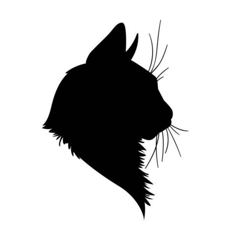 Blacckcat406 profile picture