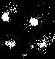 Blackbeast profile picture