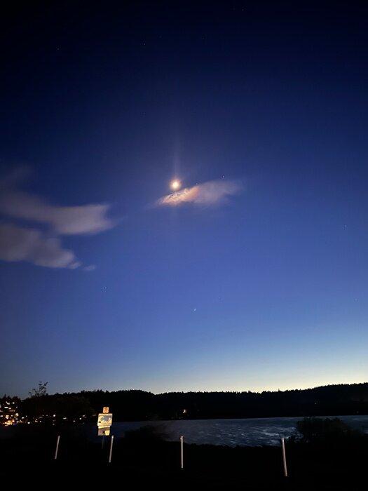 Blessedgalaxy1111 profile picture