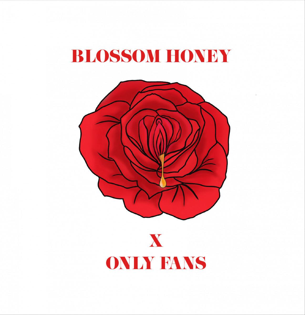 Blossomhoney profile picture