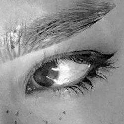 Bootsthefeline profile picture