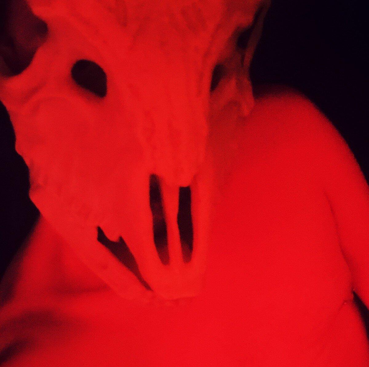 Demonbof profile picture