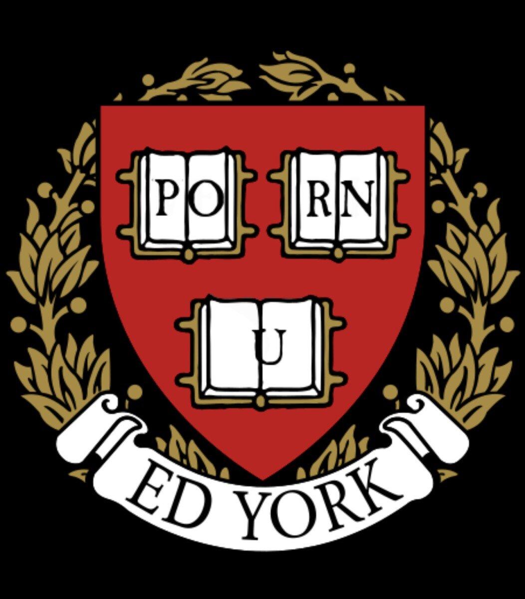 Edyork profile picture
