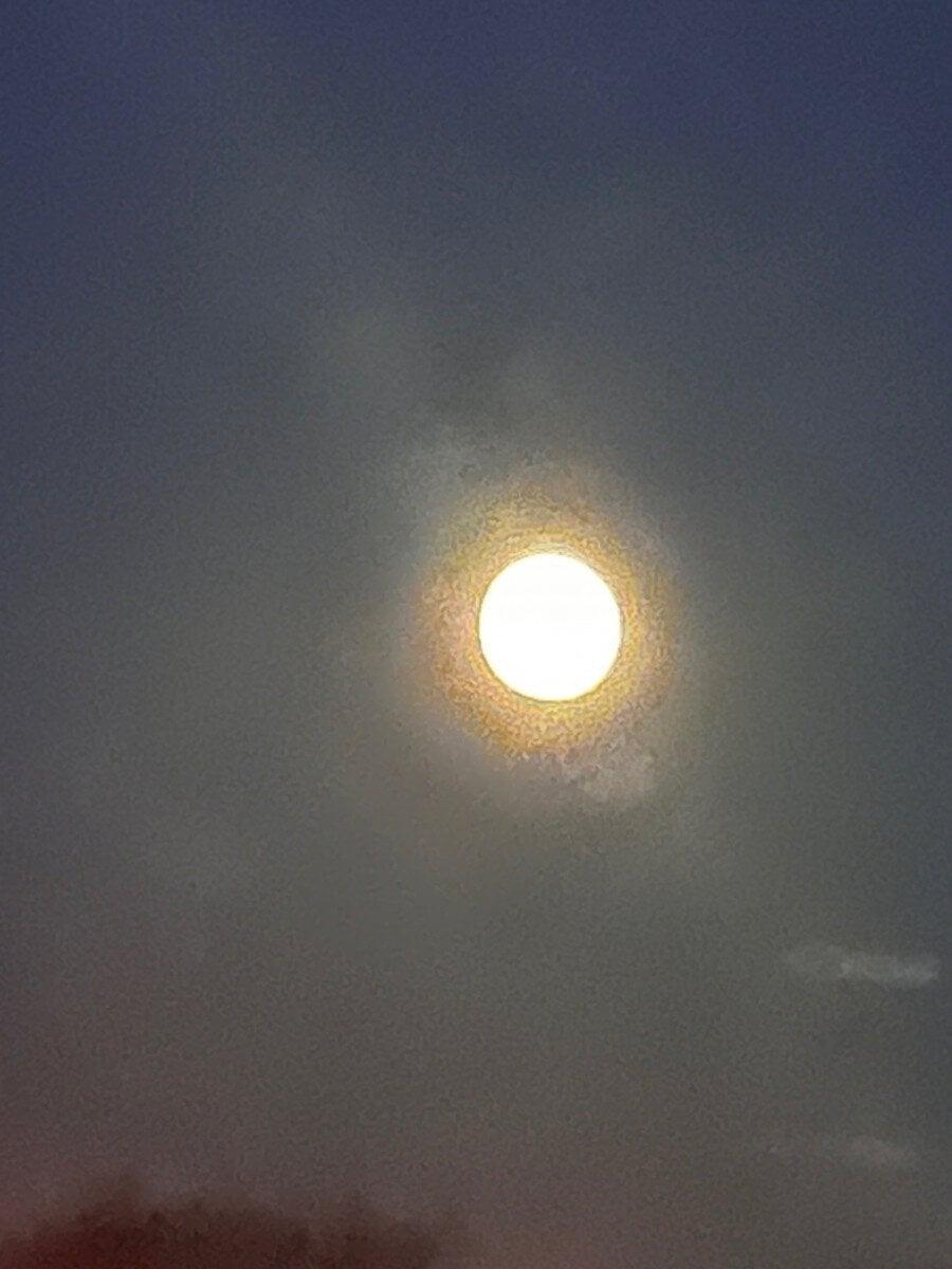 Englishpeaches profile picture