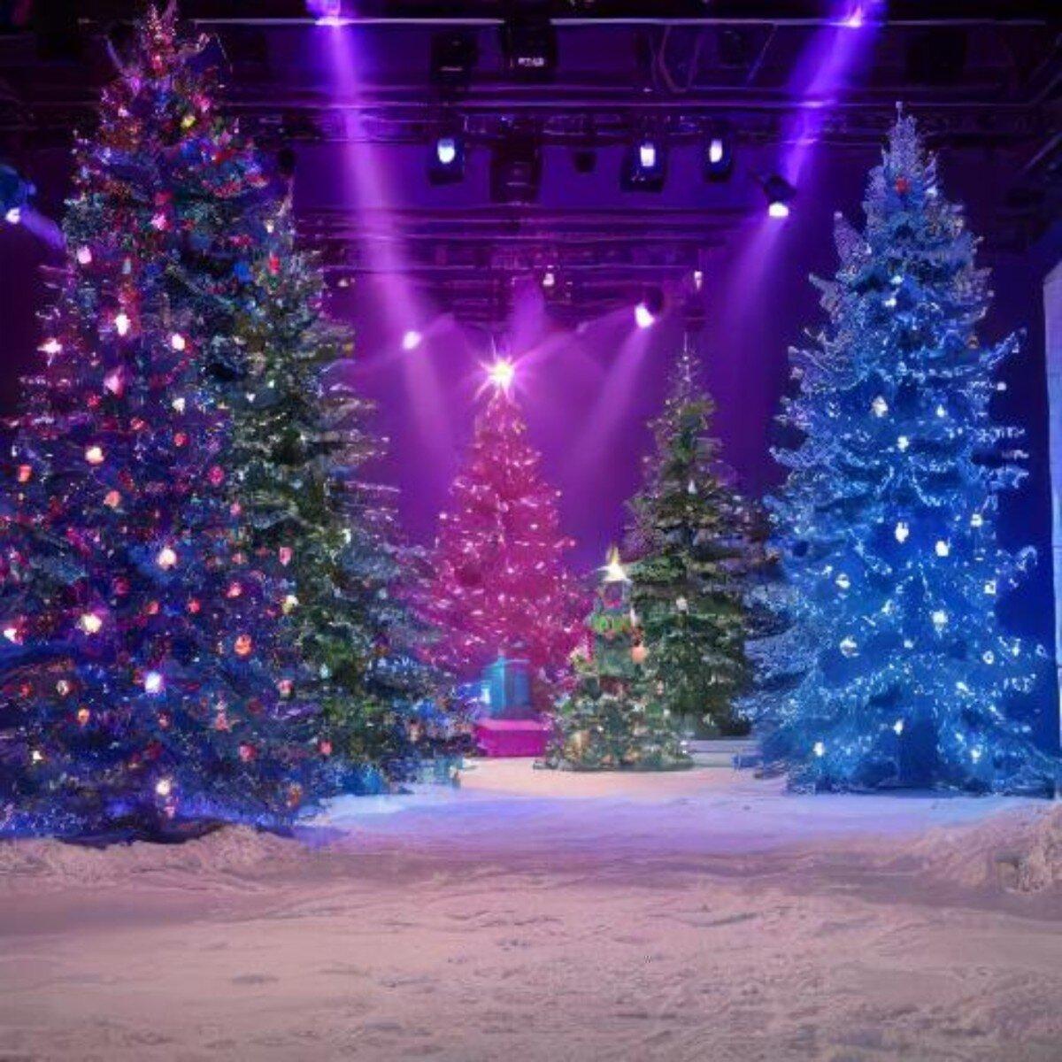 Evievalentina profile picture