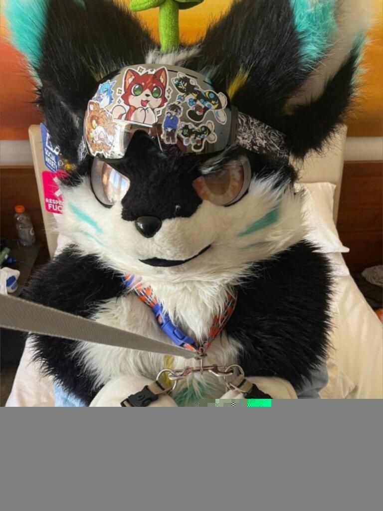 Femboydoggo profile picture