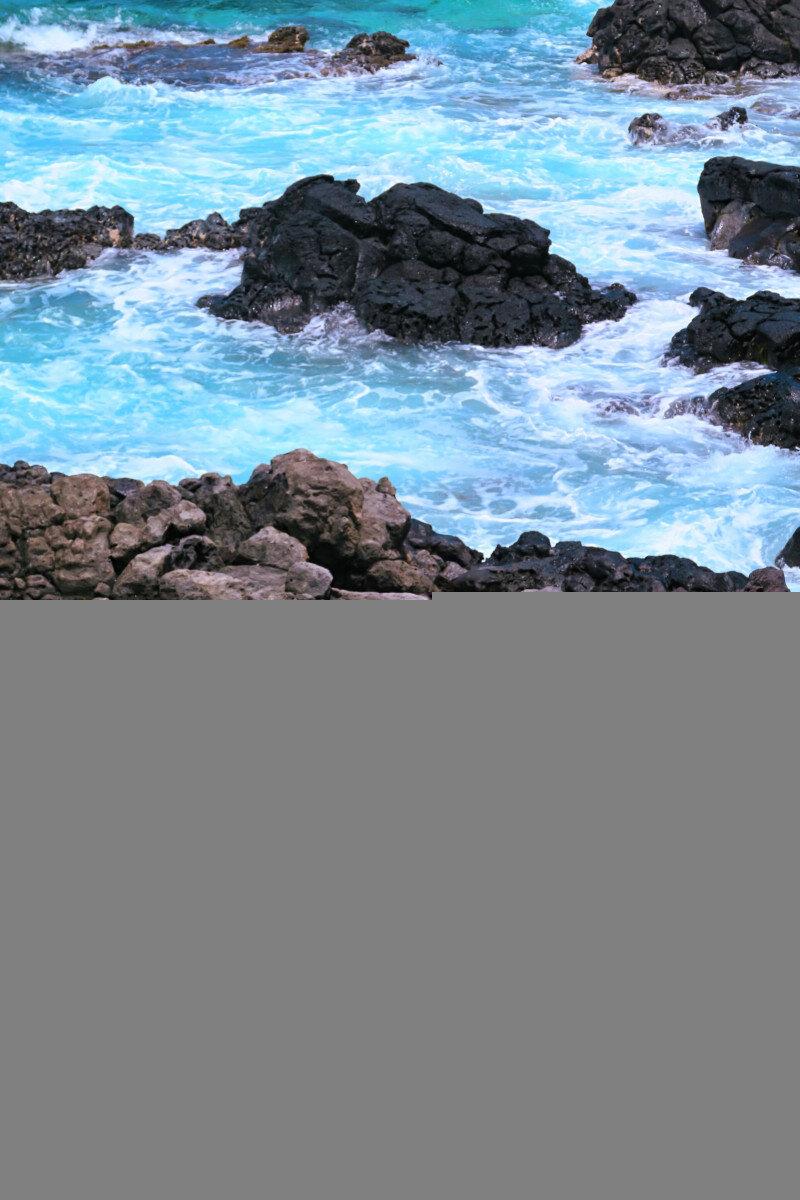 Genesisvip profile picture