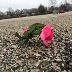 Hymneros profile picture