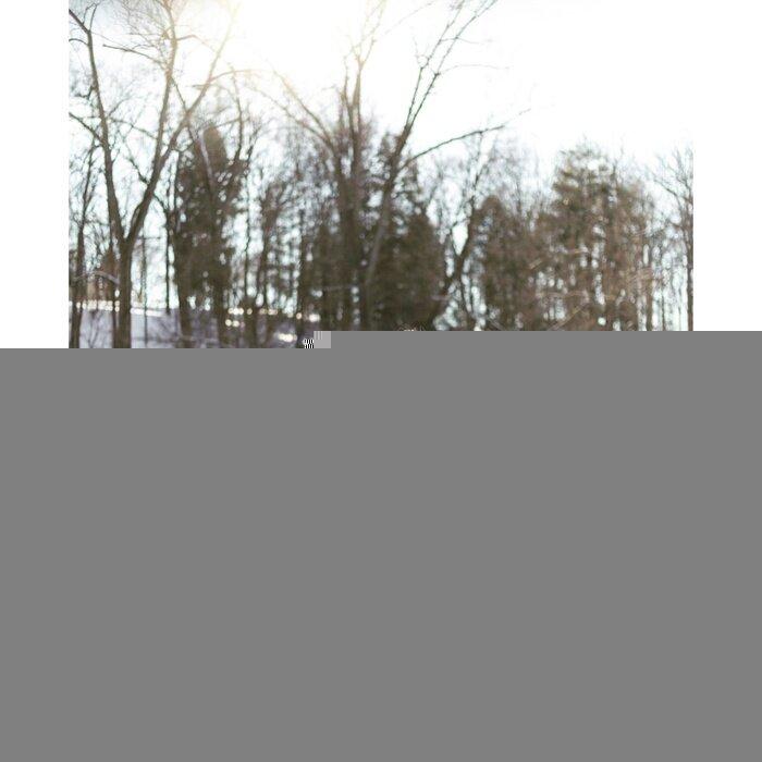 Kikiix profile picture