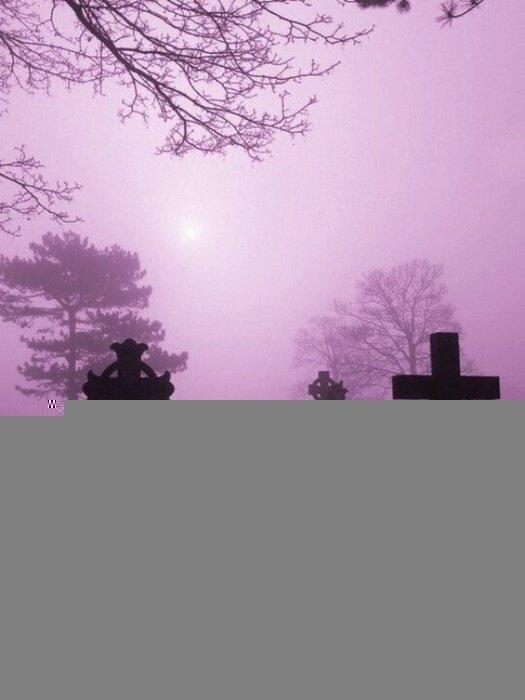 Kndixo profile picture