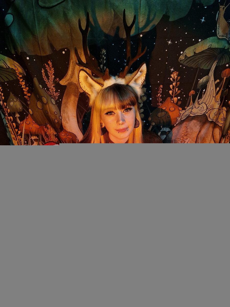 Little Pixie Kitten profile picture