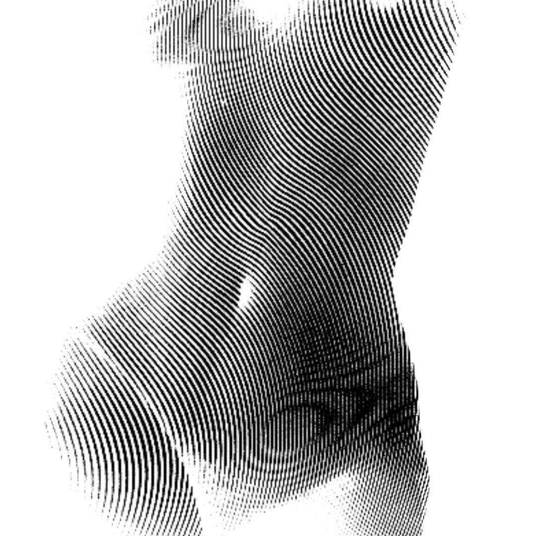 Muieru profile picture