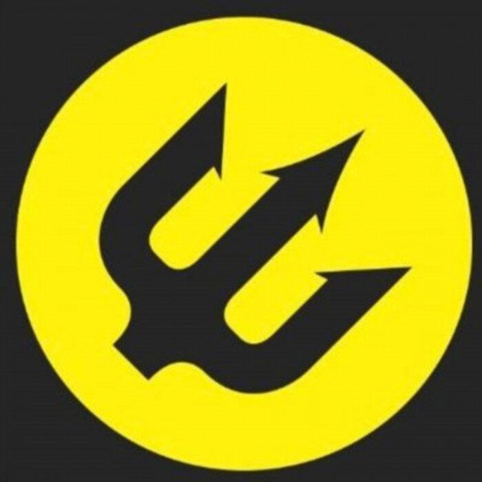 Myvirtualsins profile picture