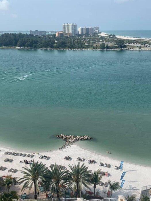 N42052169 profile picture