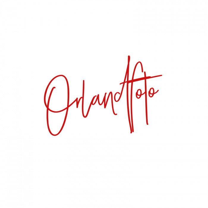 Orlandfoto profile picture
