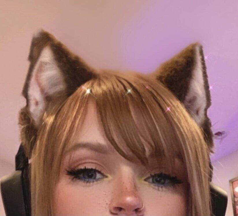 PeachJars profile picture