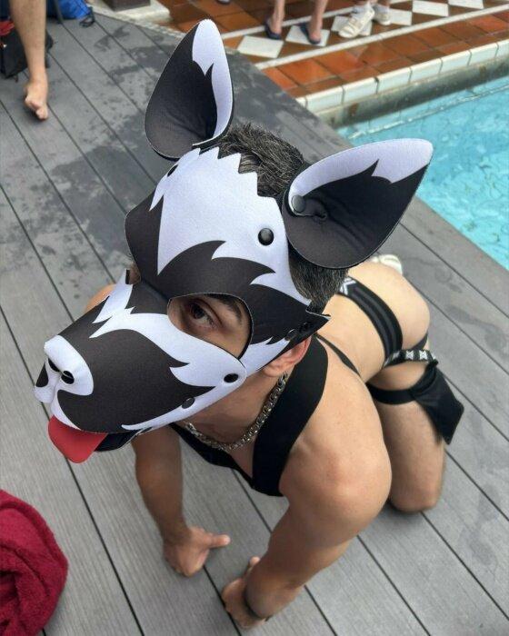 Puplogan24 profile picture