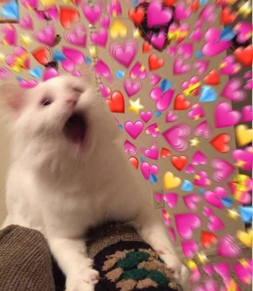 Qlucky59 profile picture