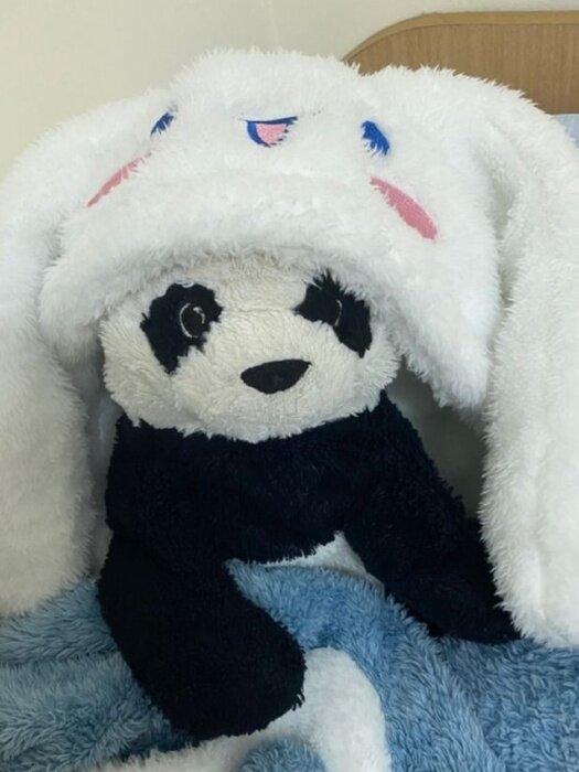 Ripzelda profile picture