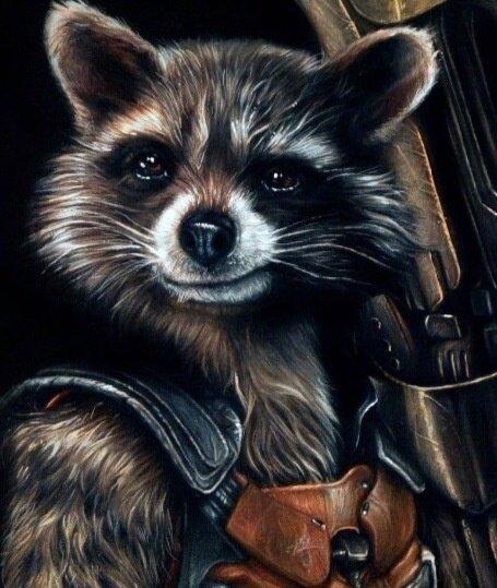 Rocketforfree profile picture