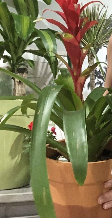 Sa7648 profile picture