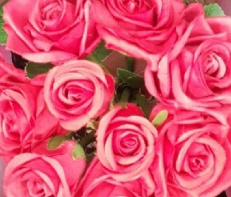 Tanningirl profile picture