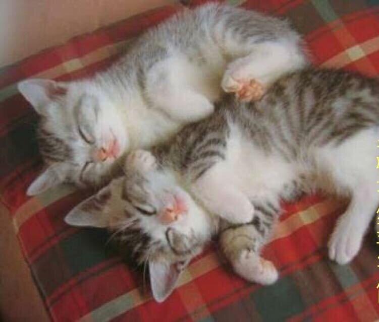 Terujpn profile picture