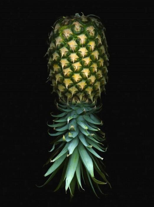 Theblackhotcouple profile picture