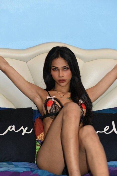 Transammy profile picture