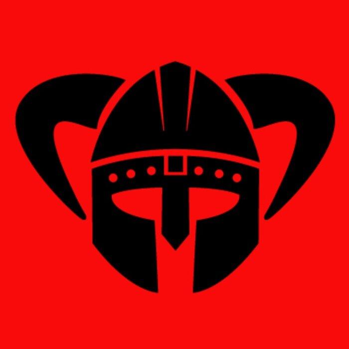 Vikingoxl profile picture