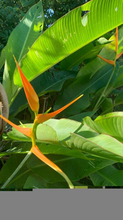 Waterandsee profile picture