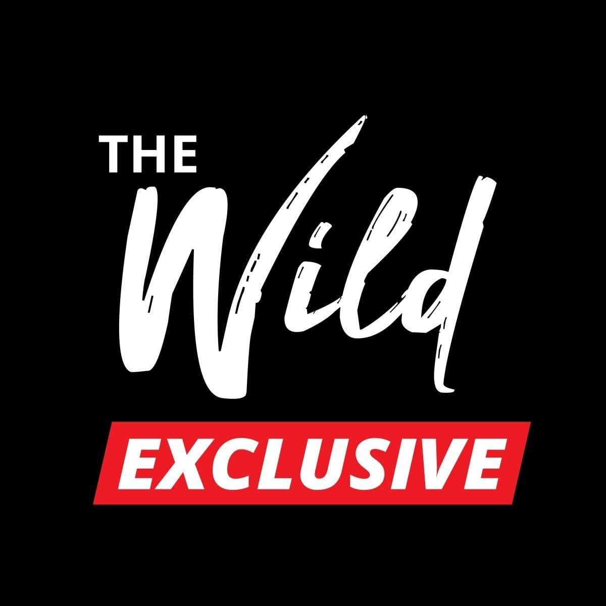 Wildexclusivefree profile picture