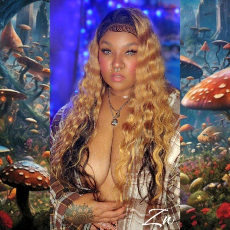 Zenwillows profile picture