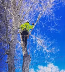 Muffy profile picture