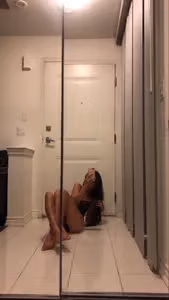 Persian doll profile picture