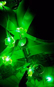 XOXO ๐ profile picture