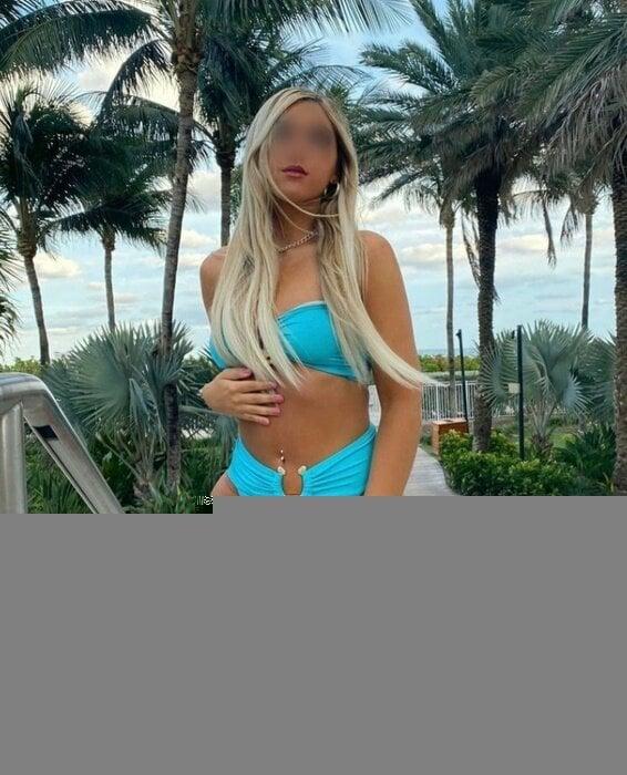 Ariaadlervip profile picture