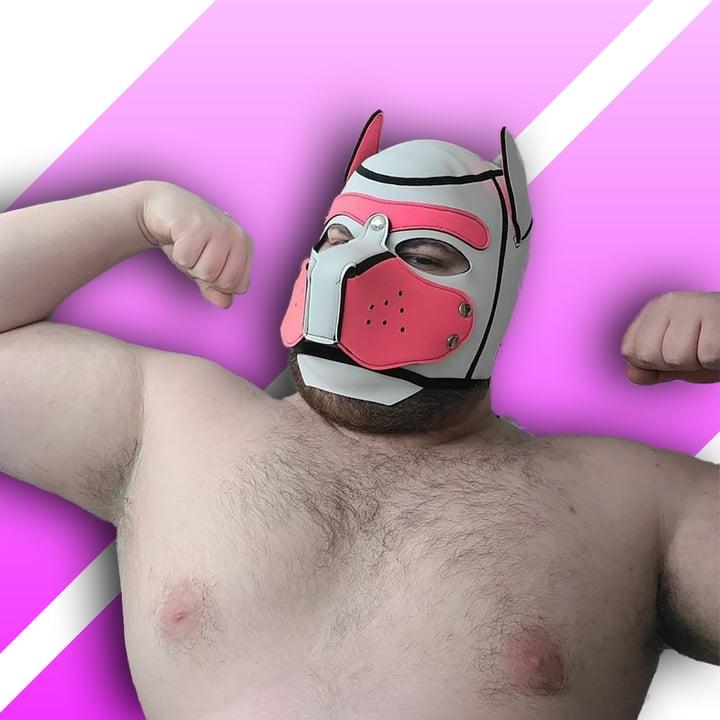 Gainer Pups profile picture