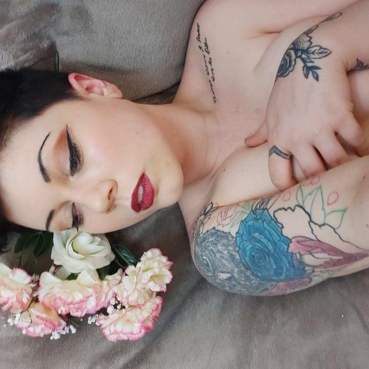 Harmonylane profile picture