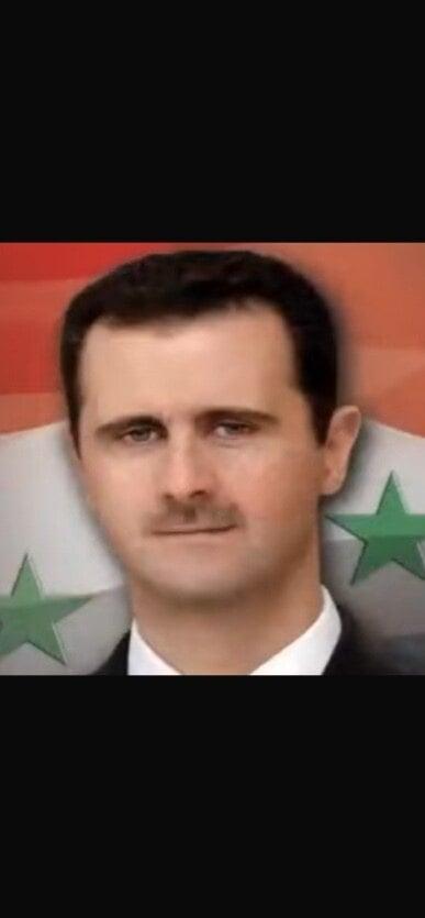 Iaras2 profile picture