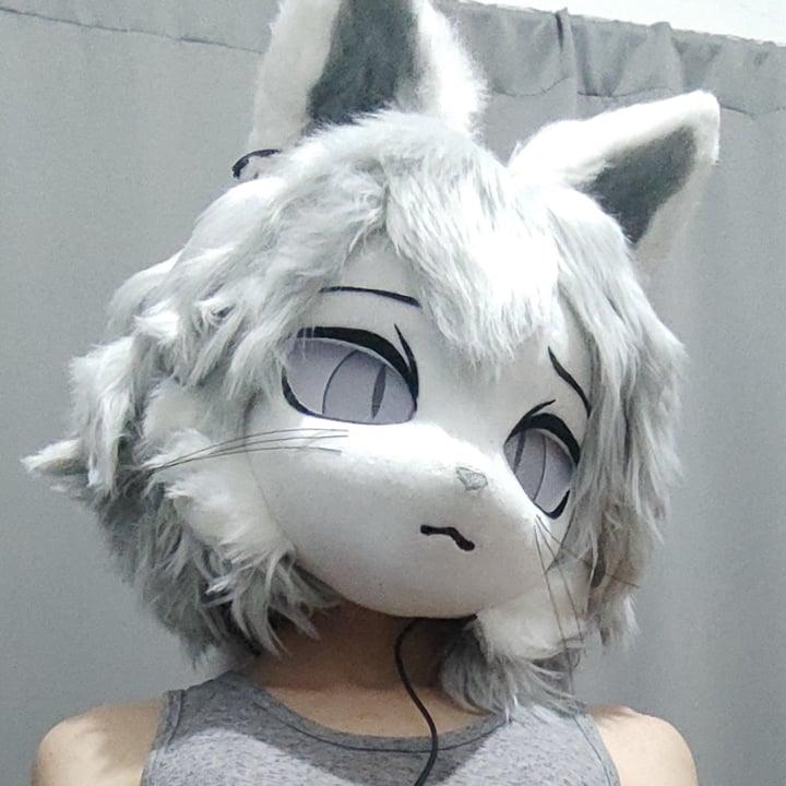 MFCat profile picture