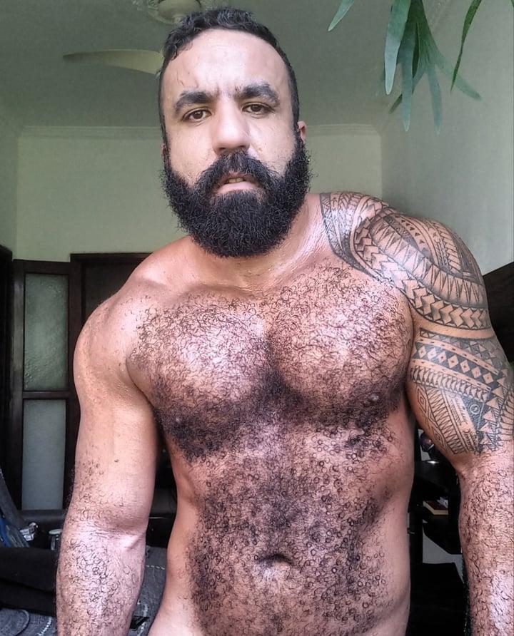 Musclebearbrazil profile picture