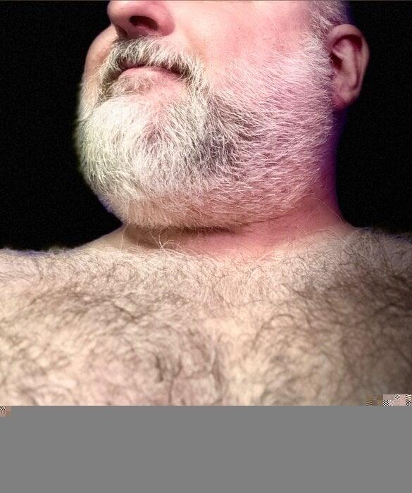 Steadibear profile picture