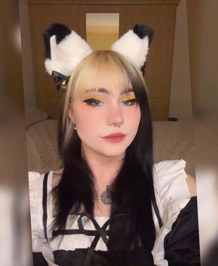 ๐ณ๏ธโโง๏ธsuccubus๐ณ๏ธโโง๏ธ profile picture