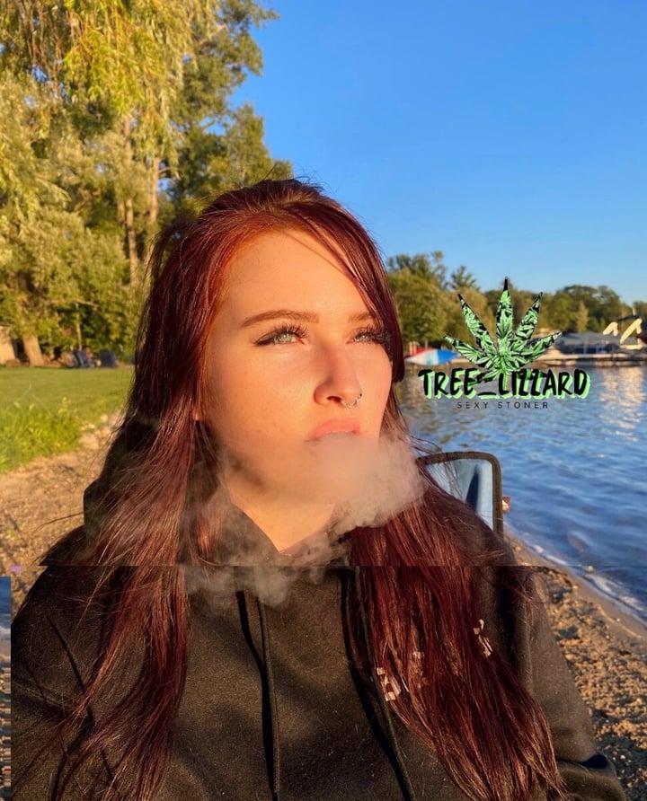 Treelizzard2 profile picture